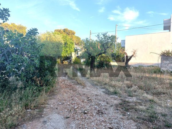 Villa singola Castellana Grotte, BA Vendita - Foto 3