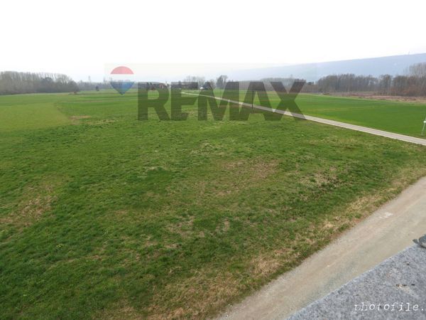 Cascina/Casale Azeglio, TO Vendita - Foto 4