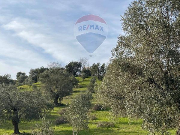 Terreno Marinello, Cervicati, CS Vendita