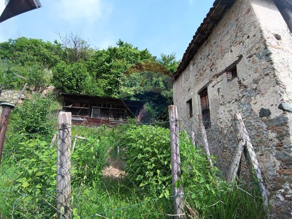 Casa Semindipendente Pallare, SV Vendita - Foto 3