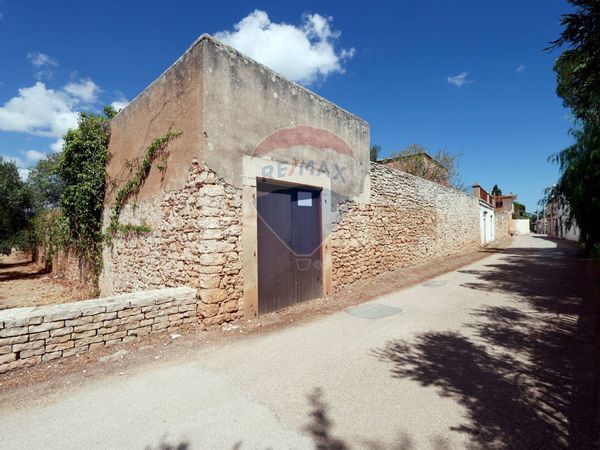 Casa Indipendente Giovinazzo, BA Vendita