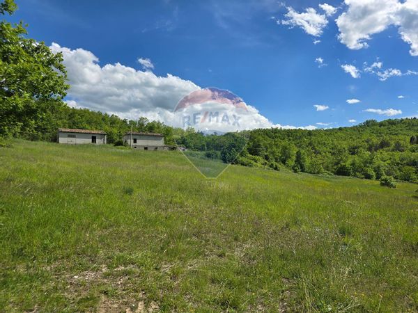 Cascina/Casale Lettopalena, CH Vendita - Foto 4
