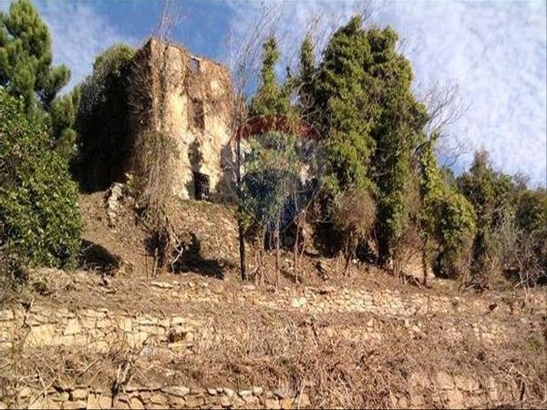 Terreno Vicopisano, PI Vendita - Foto 3