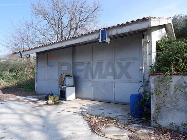 Terreno Ruviano, CE Vendita - Foto 4