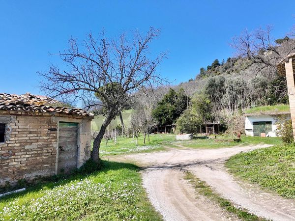 Cascina/Casale Casine di Paterno, Ancona, AN Vendita