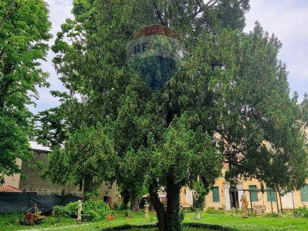 Villa singola Dolo, VE Vendita - Foto 4