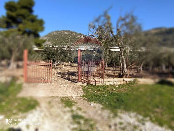 Terreno Mattinata, FG Vendita - Foto 2