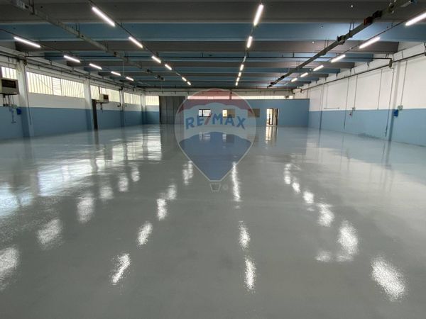 Capannone Industriale Casciana Terme Lari, PI Vendita