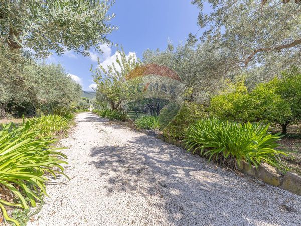 Villa singola Velletri, RM Vendita - Foto 3