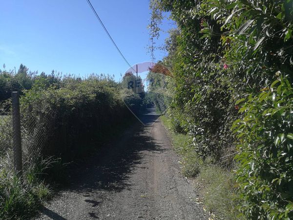 Terreno Trevignano Romano, RM Vendita - Foto 3