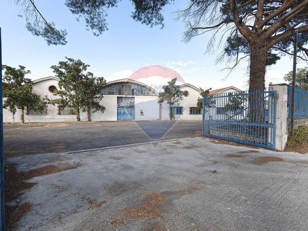 Capannone Industriale Periferia, Viterbo, VT Affitto - Foto 2