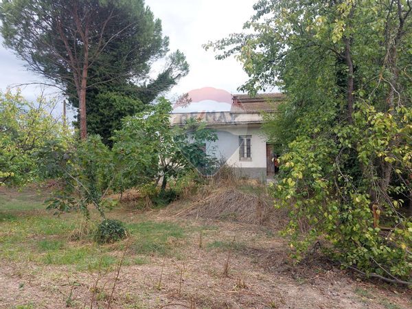 Cascina/Casale Confini, San Leucio del Sannio, BN Vendita - Foto 4