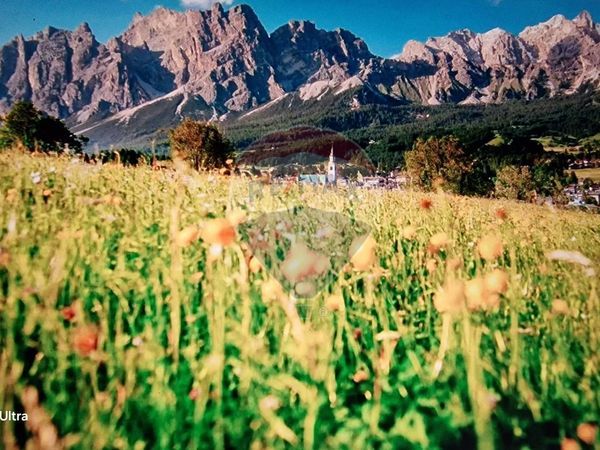 Appartamento Cortina d'Ampezzo, BL Vendita - Foto 2