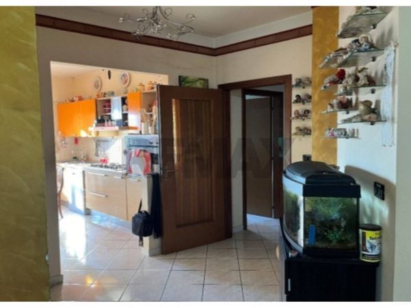 Appartamento Barberi, Collecorvino, PE Vendita - Foto 3