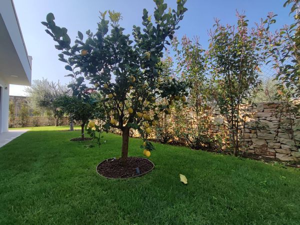 Villa singola Poggiofranco, Bari, BA Vendita - Foto 3