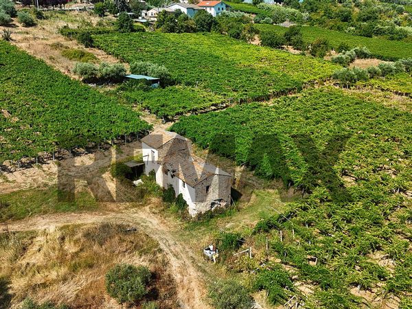 Rustico Frisa, CH Vendita - Foto 2