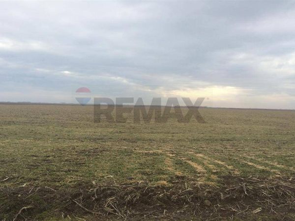 Terreno Edificabile Riesi, CL Vendita - Foto 2