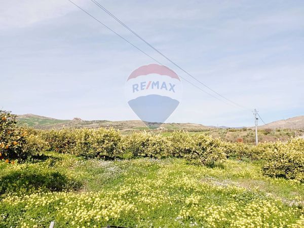 Terreno Regalbuto, EN Vendita - Foto 2