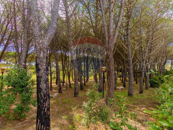 Villa singola Martina Franca, TA Vendita - Foto 3