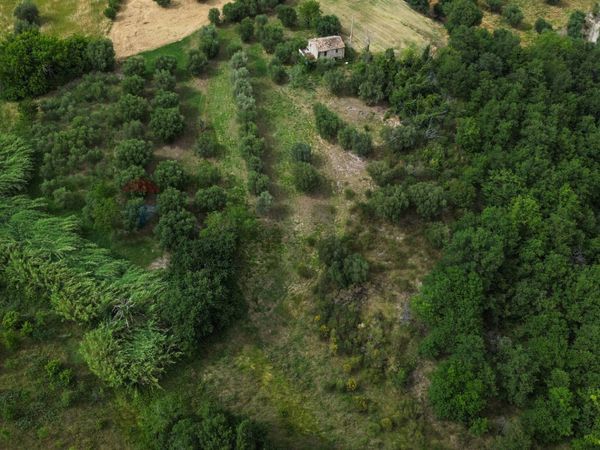 Rustico Avenale, Cingoli, MC Vendita