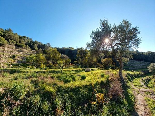Villa o villino Gratteri, PA Vendita - Foto 2