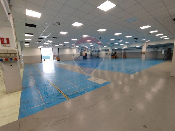 Capannone Industriale Cassano d'Adda, MI Vendita - Foto 4
