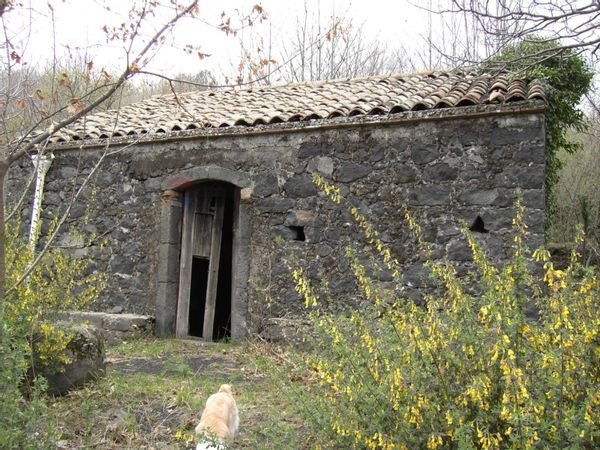 Rustico Milo, CT Vendita - Foto 2