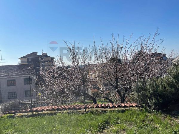 Casa Semindipendente Moncalieri, TO Vendita - Foto 4