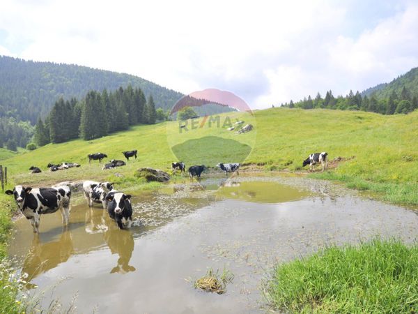 Casa Indipendente Asiago, VI Vendita - Foto 4