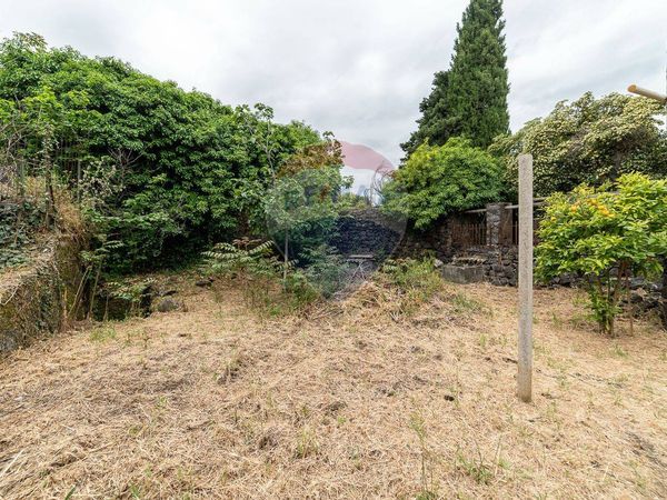 Rustico Nicolosi, CT Vendita - Foto 4