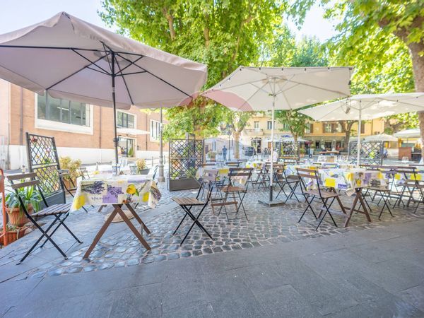 Attività  Commerciale Vermicino, Frascati, RM Vendita - Foto 2