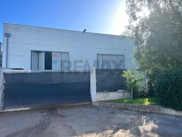 Capannone Industriale Acquaviva delle Fonti, BA Vendita - Foto 3