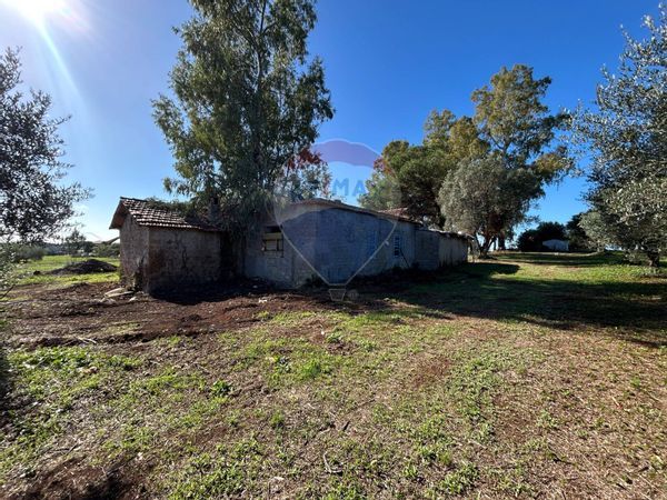 Cascina/Casale Velletri, RM Vendita - Foto 4