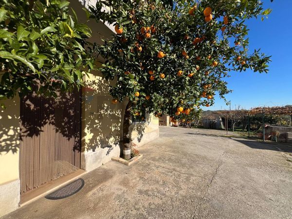 Cascina/Casale Fossacesia, CH Vendita - Foto 3