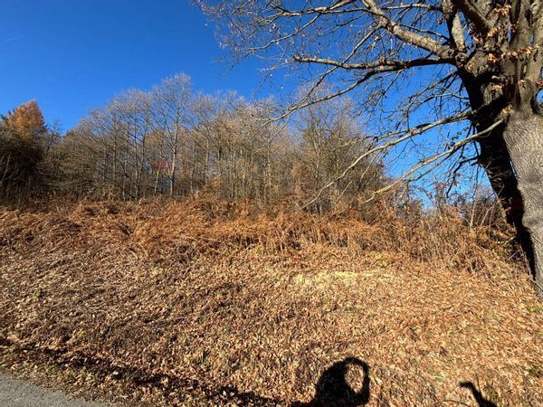 Terreno Montezemolo, CN Vendita - Foto 2