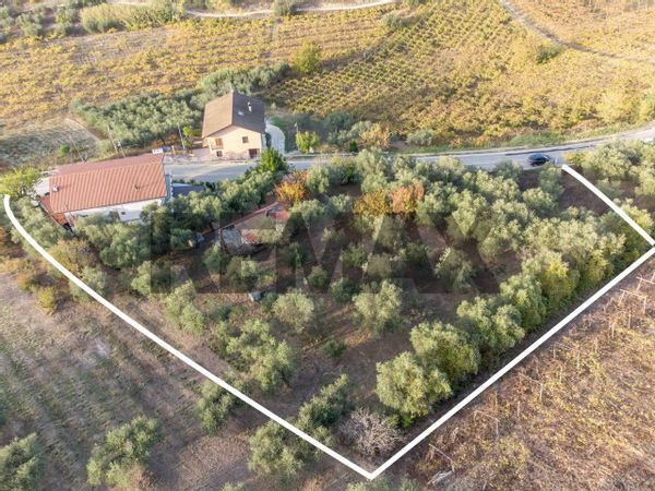 Villa singola Montupoli, Miglianico, CH Vendita - Foto 2