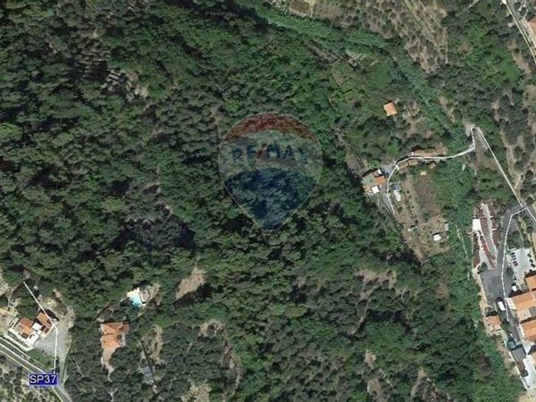 Terreno Diano Castello, IM Vendita - Foto 2