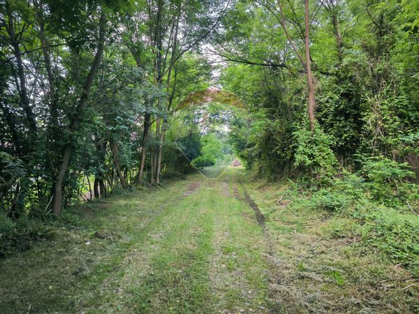 Terreno Edificabile Gattinara, VC Vendita - Foto 4