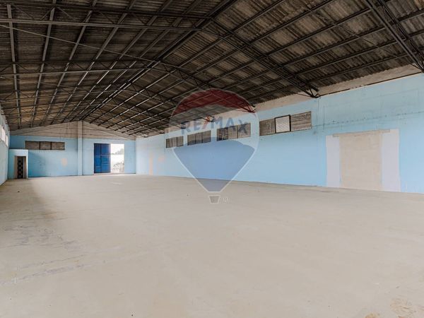 Locale Commerciale Boccea, Roma, RM Affitto - Foto 3