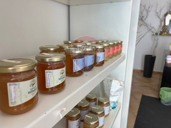 Casa Indipendente Tornareccio, CH Vendita - Foto 4