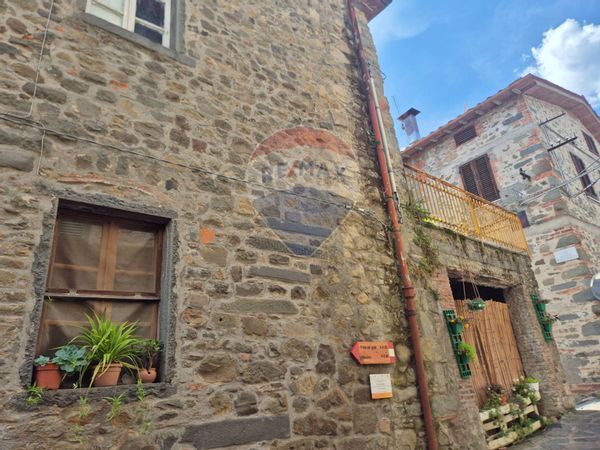 Casa Semindipendente Pariana, Villa Basilica, LU Vendita - Foto 3