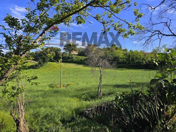 Terreno Sant'Elpidio a Mare, FM Vendita - Foto 2