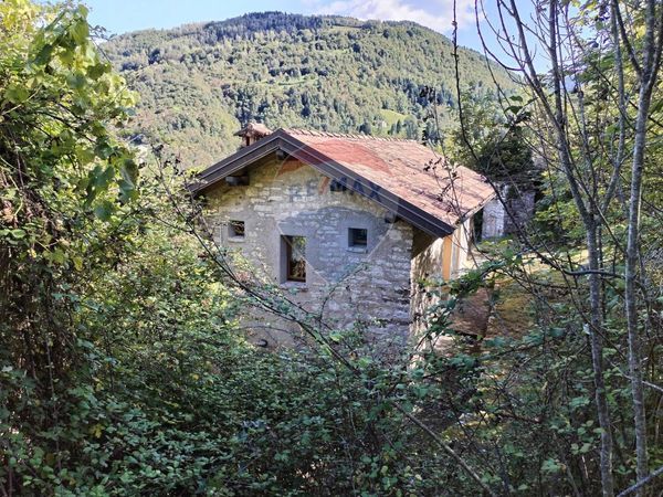 Casa Indipendente Boschi, Borgo Valbelluna, BL Vendita - Foto 3