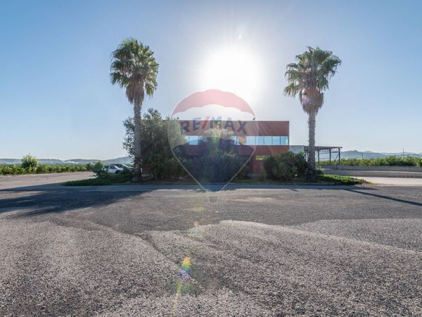 Capannone Industriale Mineo, CT Vendita - Foto 2