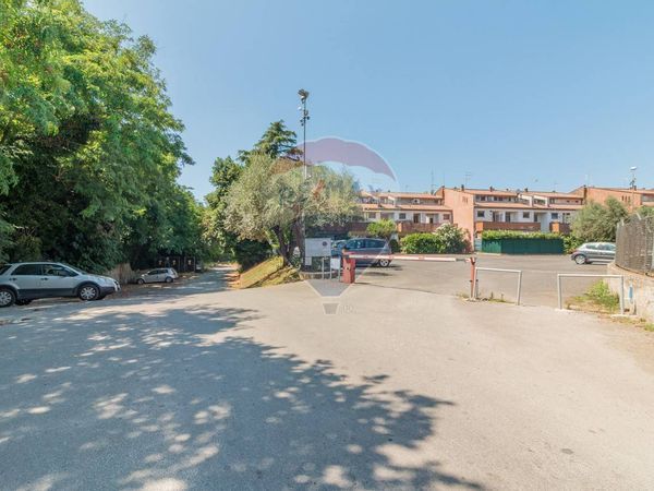 Appartamento Centro Città, Montalto di Castro, VT Vendita - Foto 3