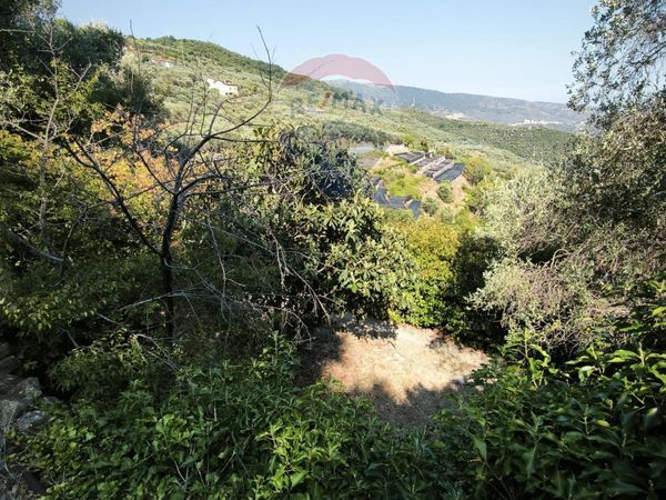 Casa Indipendente Taggia, IM Vendita - Foto 2