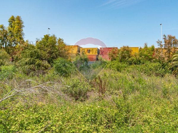 Terreno Industriale Zona periferica, Catania, CT Vendita - Foto 3