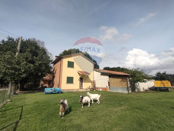 Casa Indipendente Jolanda di Savoia, FE Vendita - Foto 2