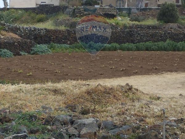 Altro Pantelleria, TP Vendita - Foto 4