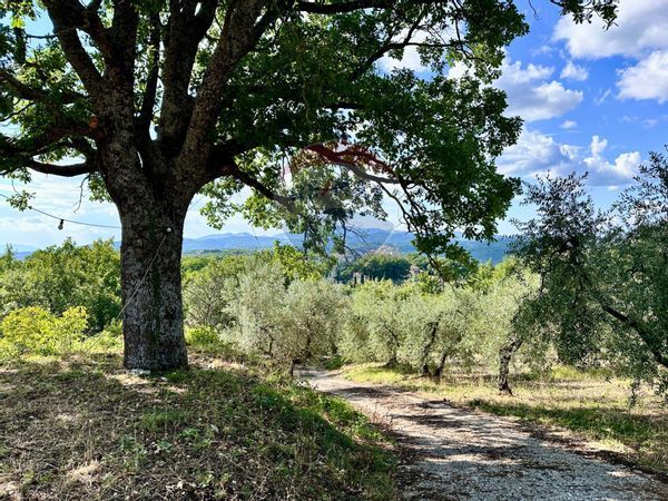 Villa singola Oliveto, Torricella in Sabina, RI Vendita - Foto 4